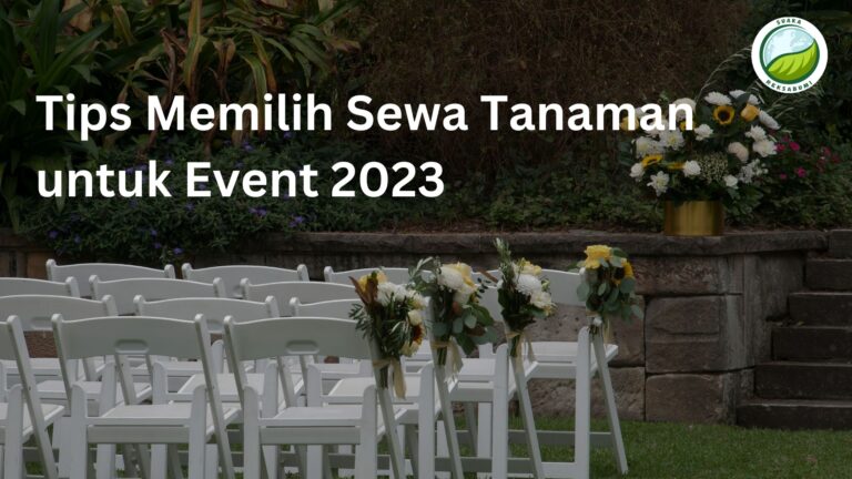 sewa tanaman untuk event