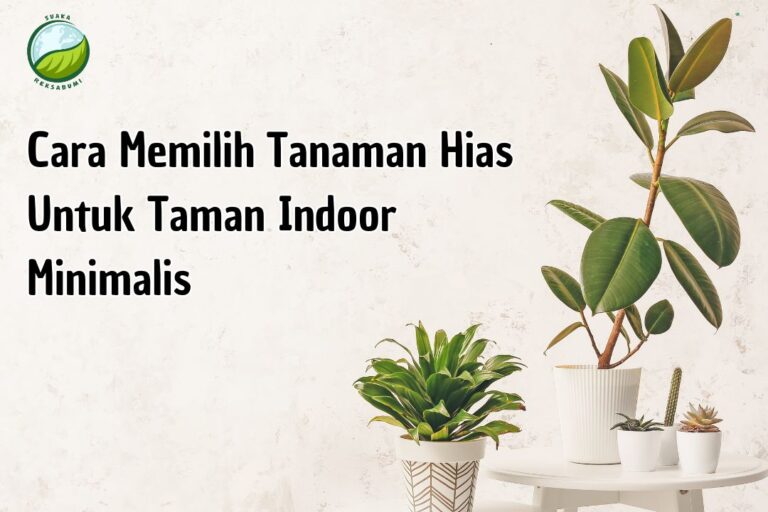 Taman indoor minimalis