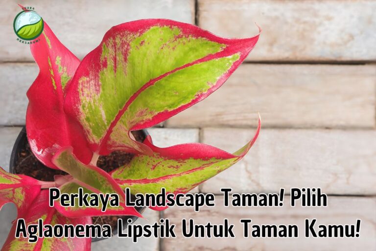 Landscape taman