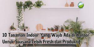 tanaman indoor kantor