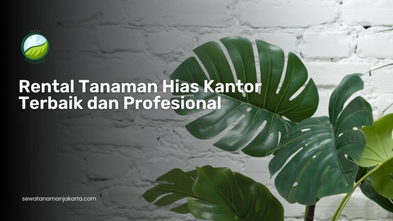 rental tanaman hias kantor