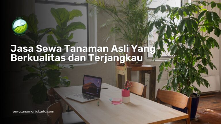 sewa tanaman asli