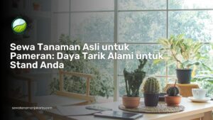 Sewa Tanaman Asli untuk Pameran