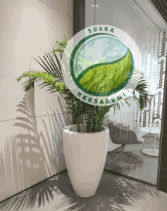 Tanaman Indoor Minim Perawatan untuk Kantor