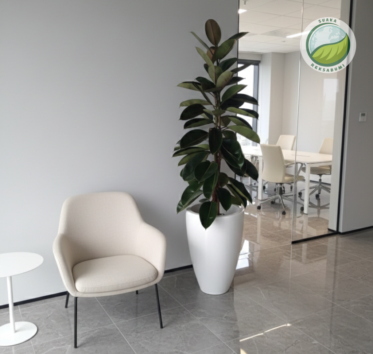 Jenis Tanaman Kantor yang Cocok Berdasarkan Area & Kebutuhan Ruang Kerja