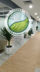 Sewa Tanaman Jakarta