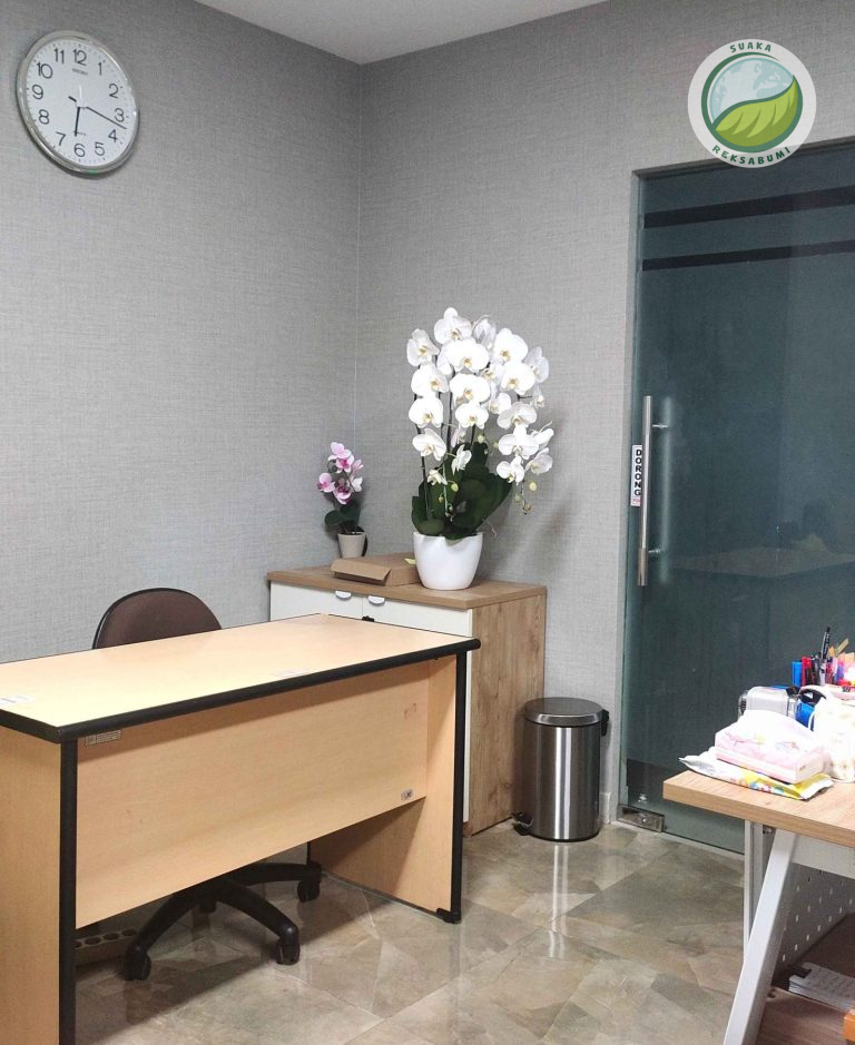 Sewa Tanaman Kantor Jakarta Barat