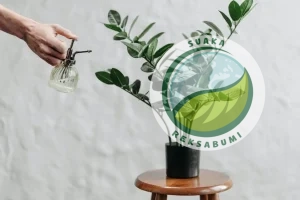 tanaman kantor minim cahaya zz plant