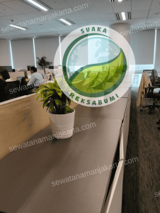 taman kantor minimalis