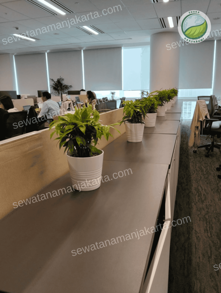 taman kantor minimalis