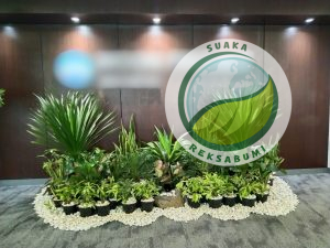 jasa desain dan instalasi tanaman hias penataan mini garden indoor
