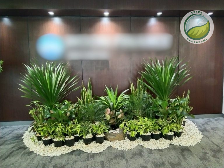 jasa desain dan instalasi tanaman hias penataan mini garden indoor