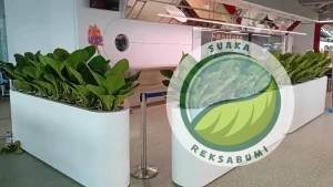 jasa desain dan instalasi tanaman hias desain indoor