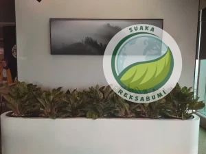 Sewa tanaman kantor di SCBD