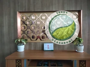  tanaman sirih gading di lounge