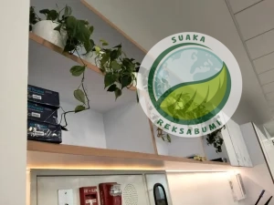 tanaman sirih gading di rak dokumen