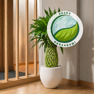 Bambu Kepang | Lucky Bamboo