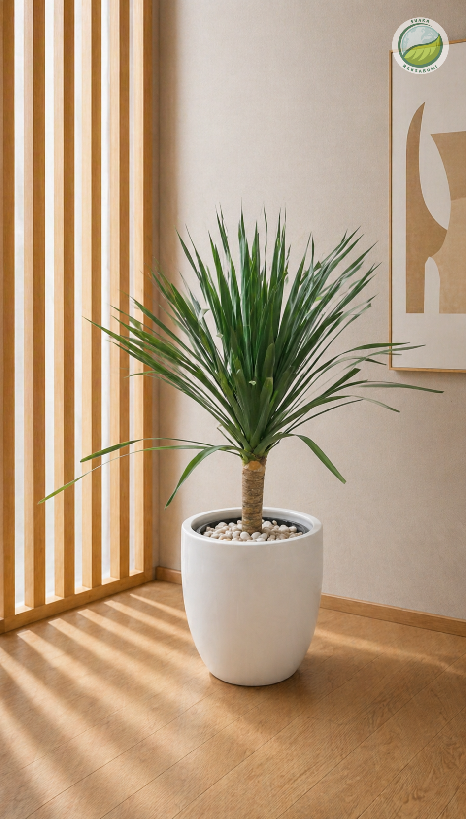 Pandan Bali | Screwpine (Pandanus veitchii)